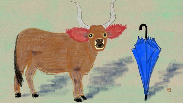 Lemus Illustration © Hana Bosk